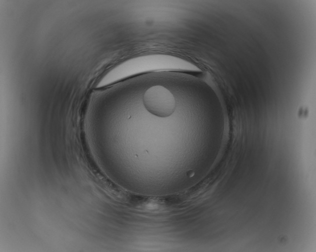 X0000110990308200906191433