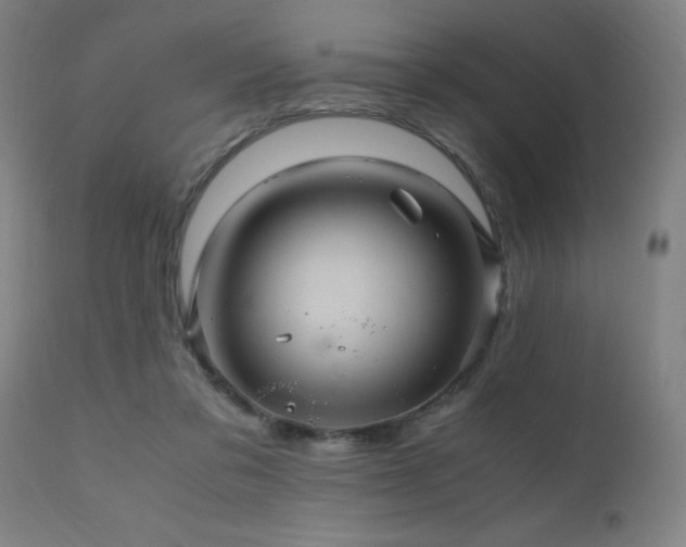 X0000110990309200906191433