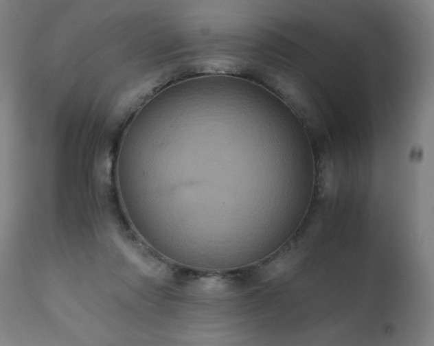X0000110990310200906191433