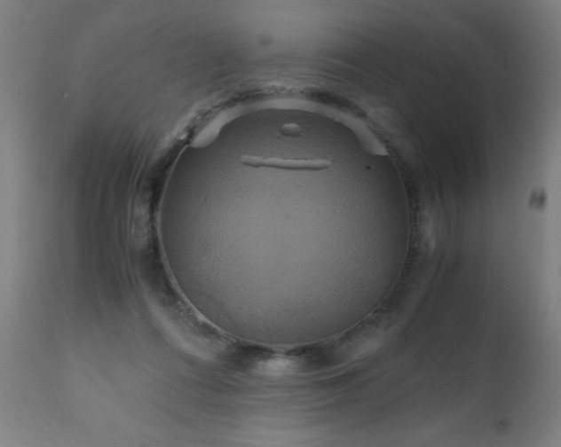 X0000110990312200906191433
