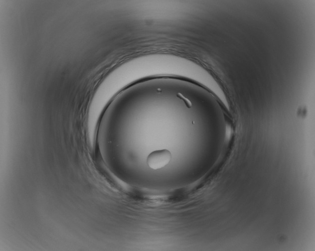 X0000110990313200906191433