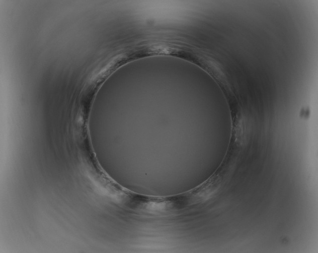 X0000110990314200906191433
