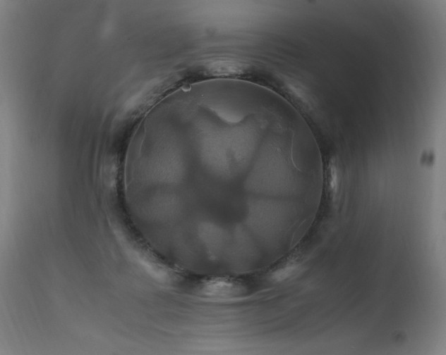 X0000110990315200906191433
