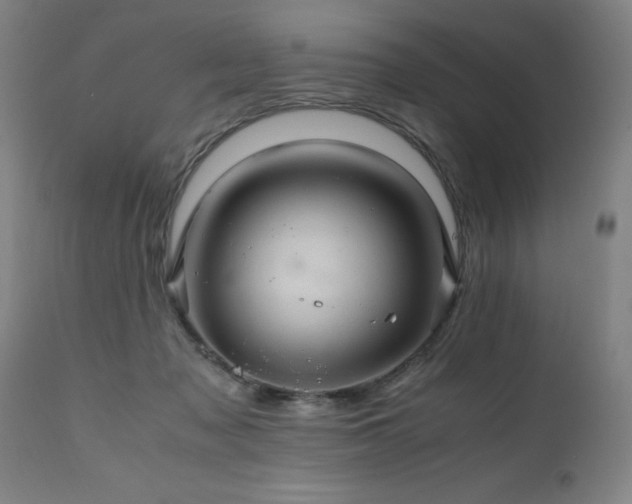 X0000110990317200906191433