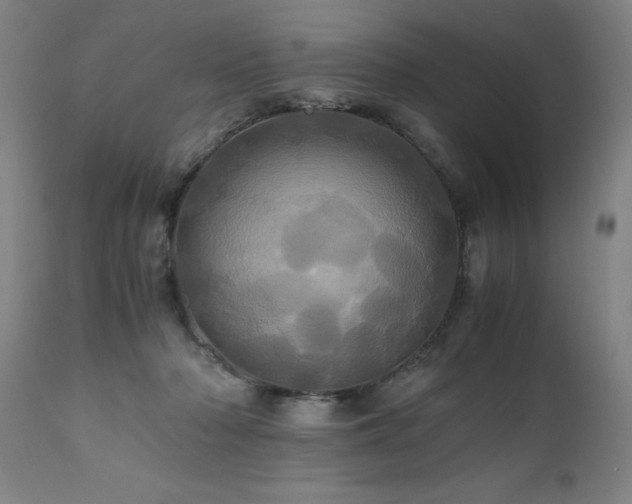X0000110990318200906191433