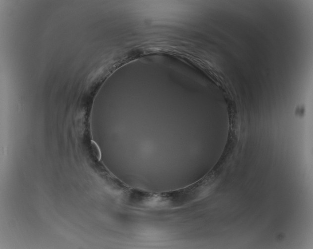 X0000110990319200906191433