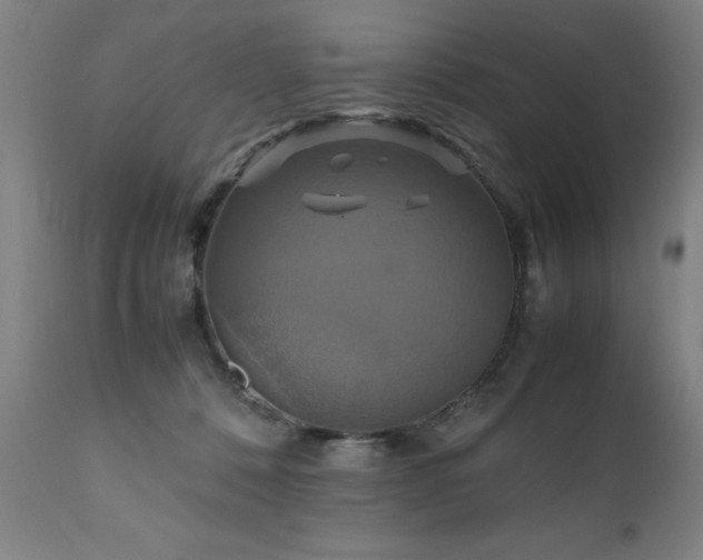 X0000110990320200906191433