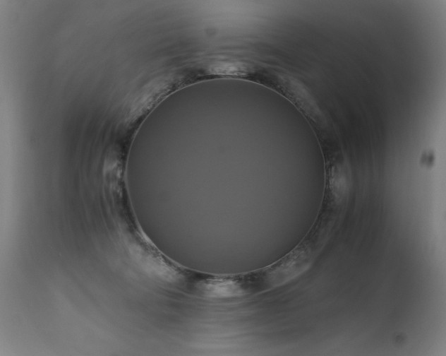 X0000110990322200906191433