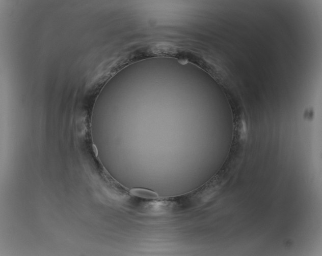 X0000110990323200906191433