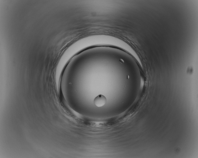 X0000110990325200906191433