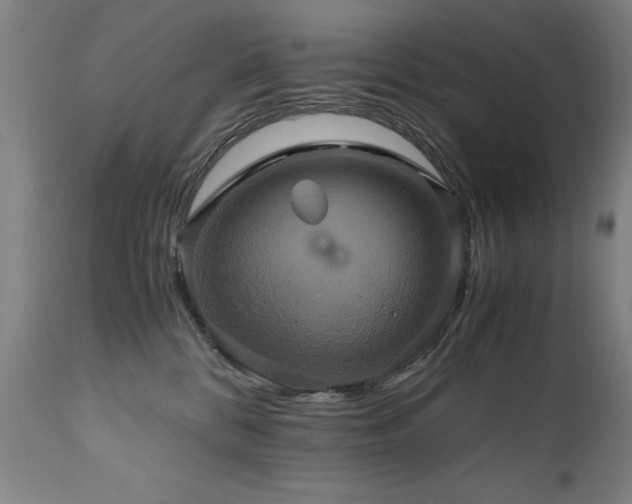 X0000110990328200906191433