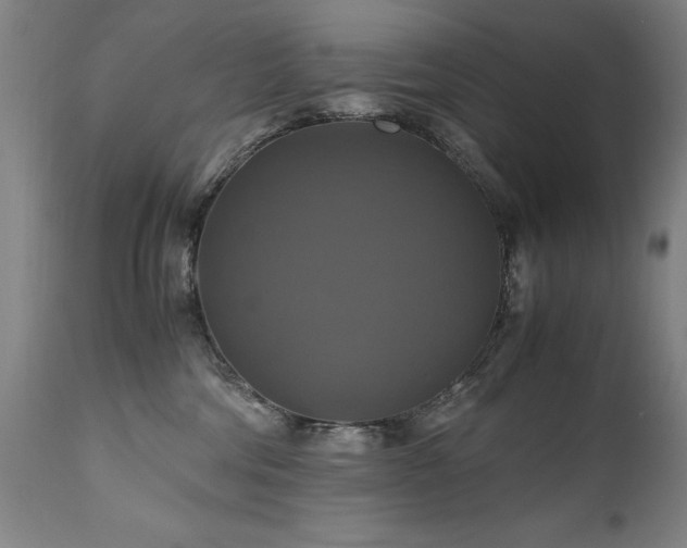 X0000110990330200906191433