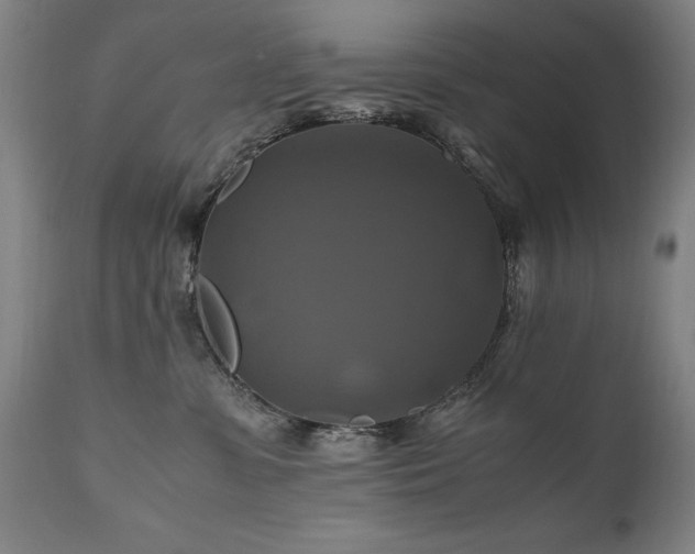 X0000110990331200906191433