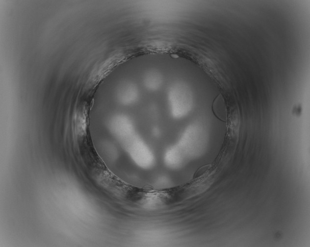 X0000110990334200906191433