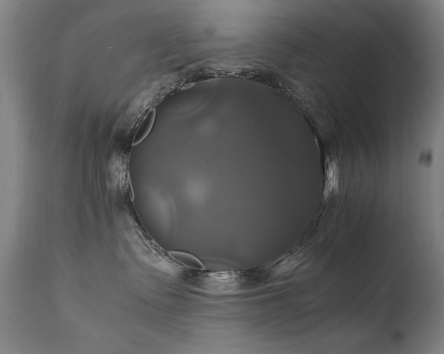 X0000110990335200906191433