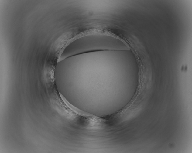 X0000110990336200906191433