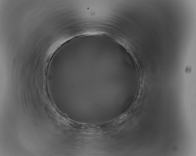 X0000110990337200906191432