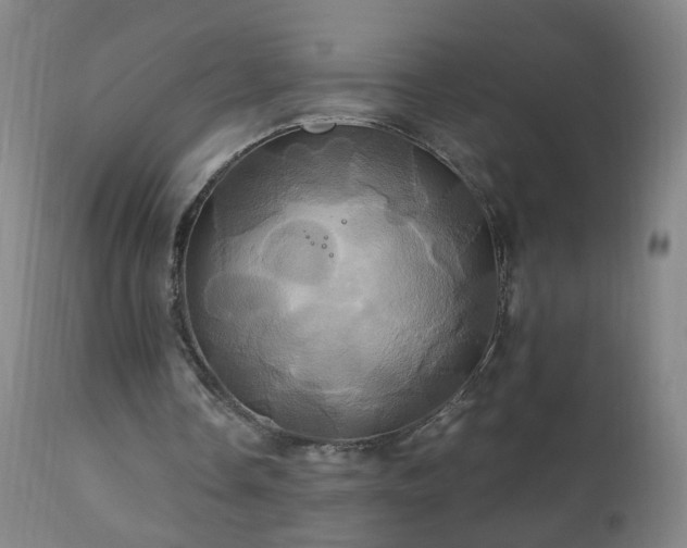 X0000110990338200906191432