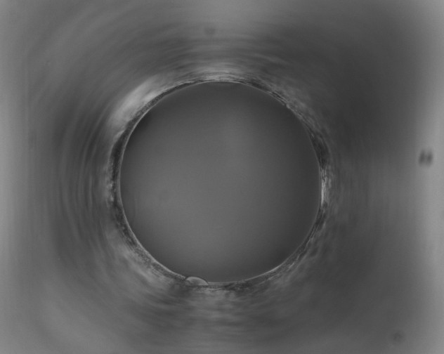 X0000110990339200906191432