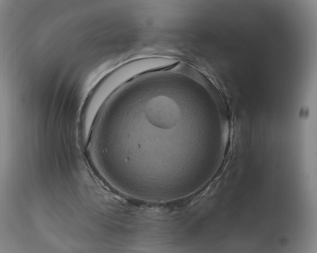 X0000110990340200906191432
