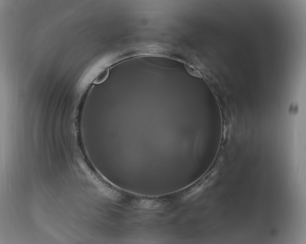 X0000110990341200906191432