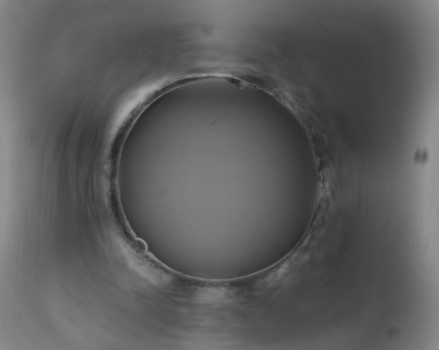 X0000110990342200906191432