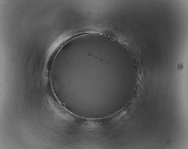 X0000110990343200906191432
