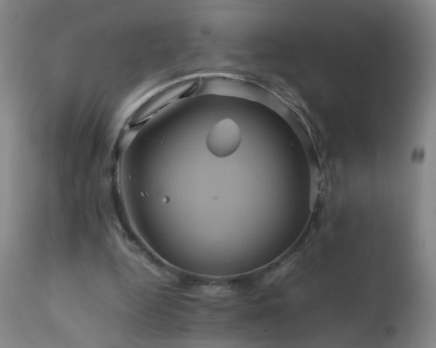 X0000110990344200906191432