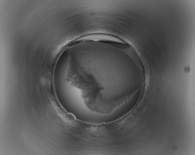 X0000110990345200906191432