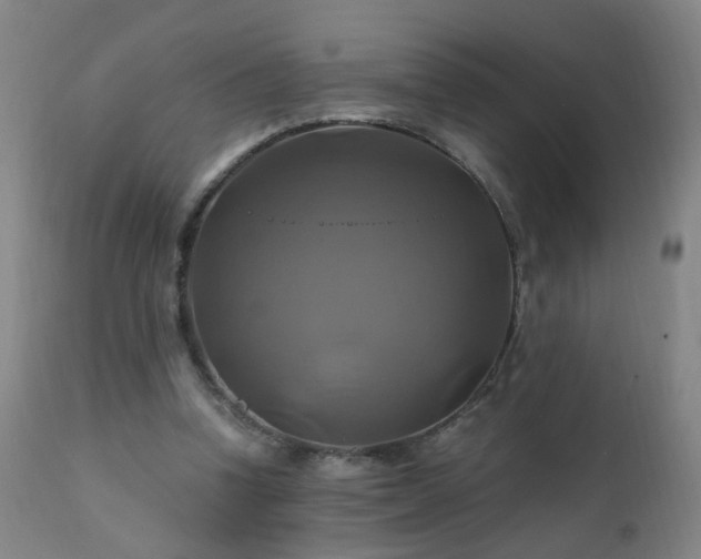 X0000110990346200906191432