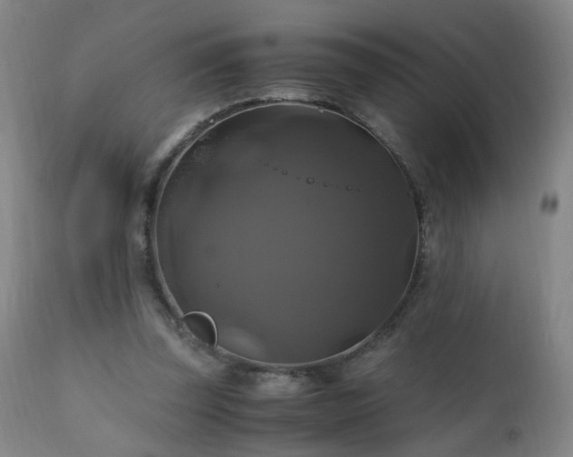 X0000110990347200906191432