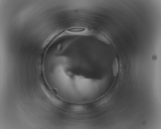 X0000110990349200906191432