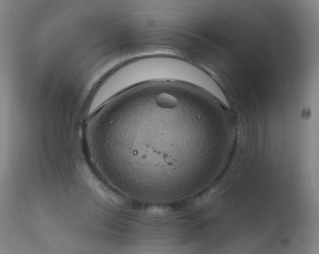 X0000110990350200906191432