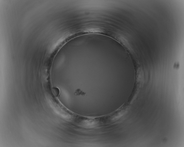 X0000110990351200906191432