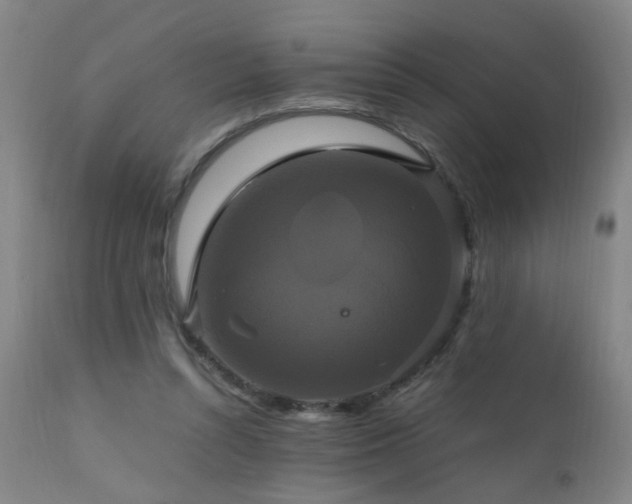 X0000110990352200906191432