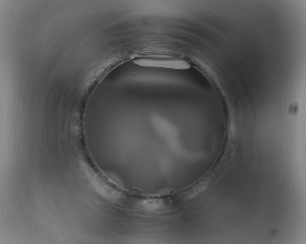 X0000110990353200906191432