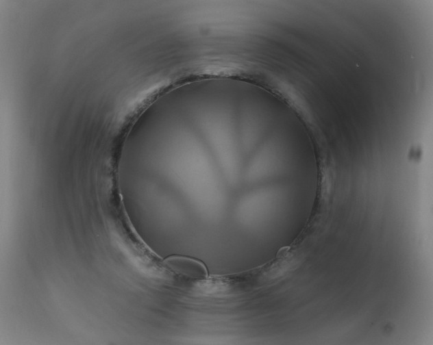 X0000110990354200906191432