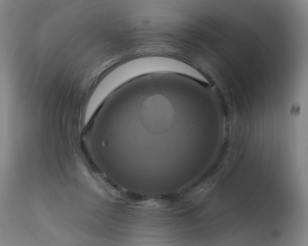 X0000110990356200906191432