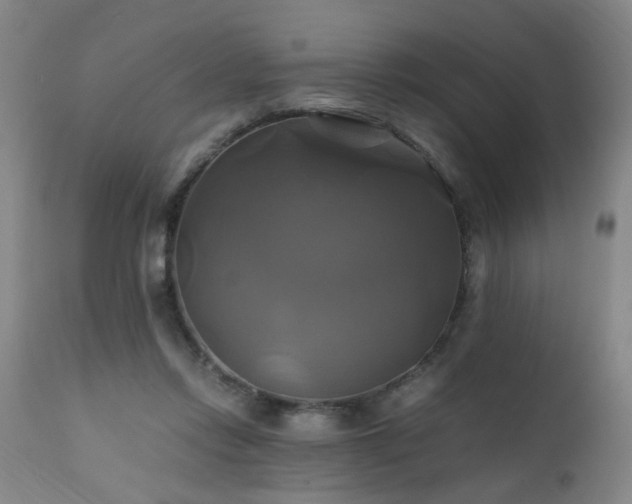 X0000110990358200906191432