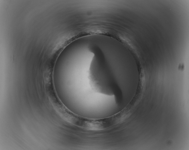 X0000110990359200906191432