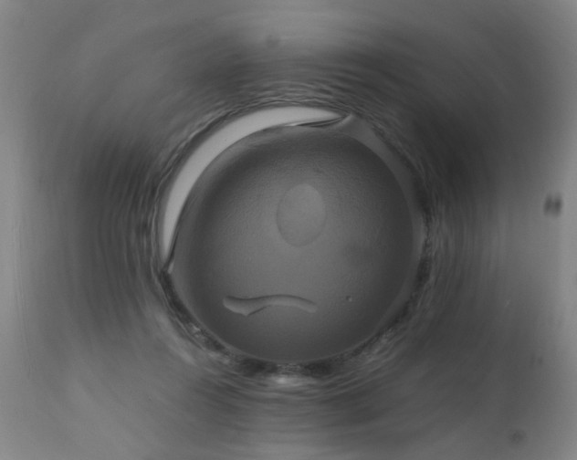 X0000110990360200906191432