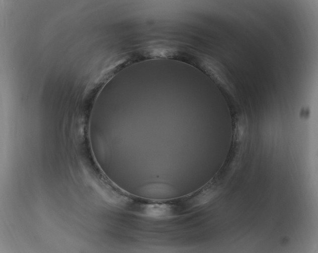 X0000110990363200906191433