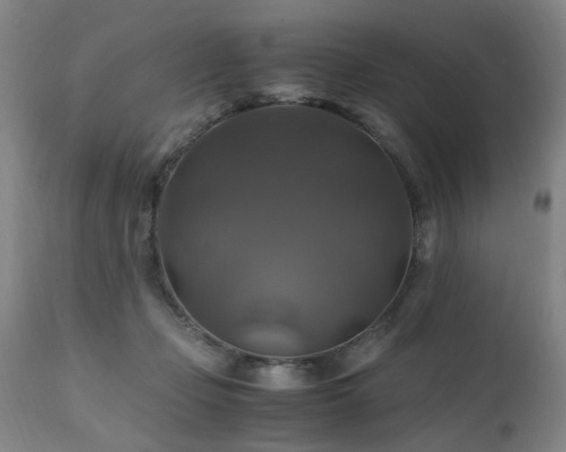 X0000110990365200906191433