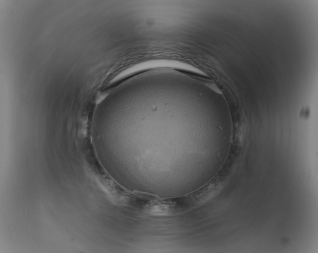X0000110990368200906191433