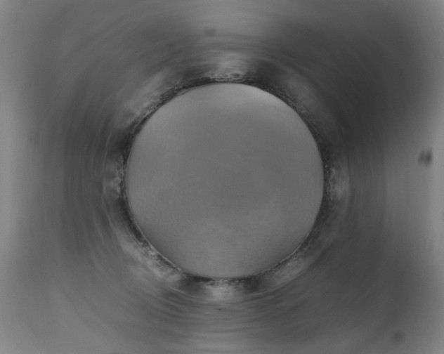 X0000110990370200906191433
