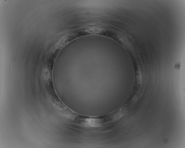 X0000110990371200906191433