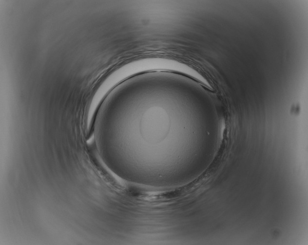 X0000110990372200906191433
