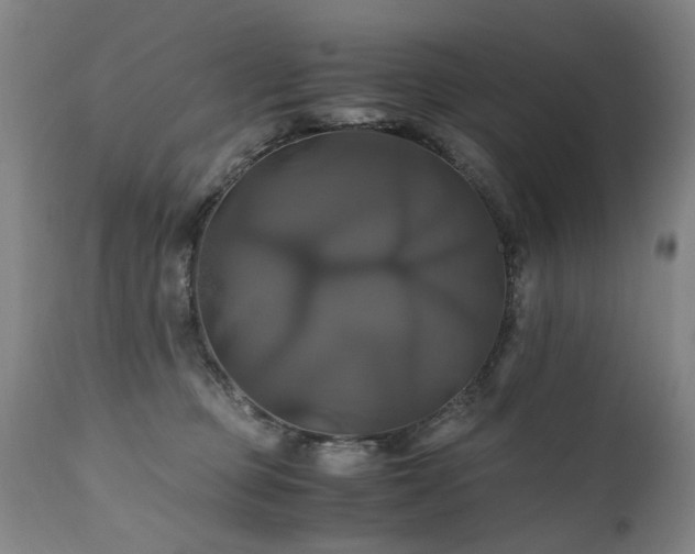 X0000110990373200906191433