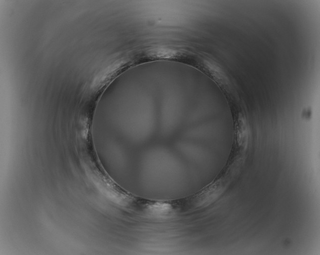 X0000110990374200906191433