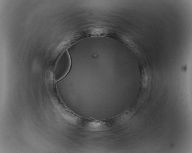 X0000110990375200906191433